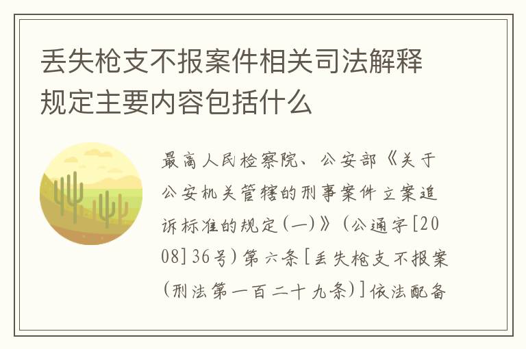 丢失枪支不报案件相关司法解释规定主要内容包括什么