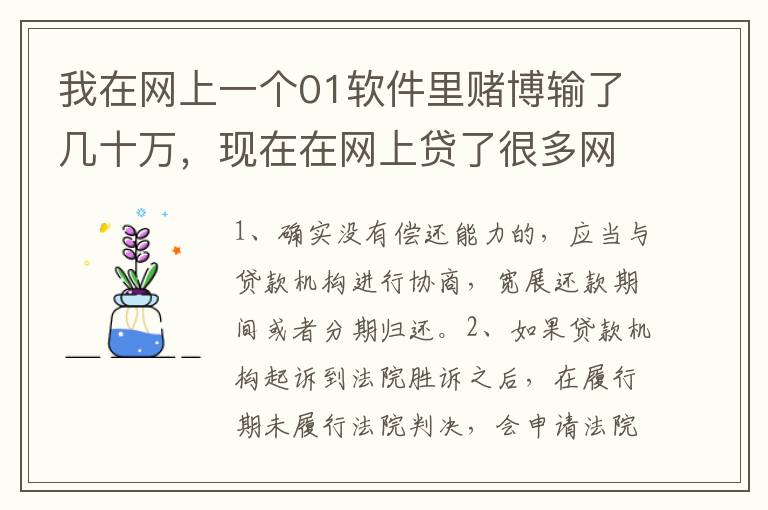 我在网上一个01软件里赌博输了几十万，现在在网上贷了很多网贷，还不起了，怎么办