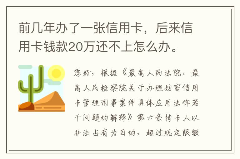 前几年办了一张信用卡，后来信用卡钱款20万还不上怎么办。