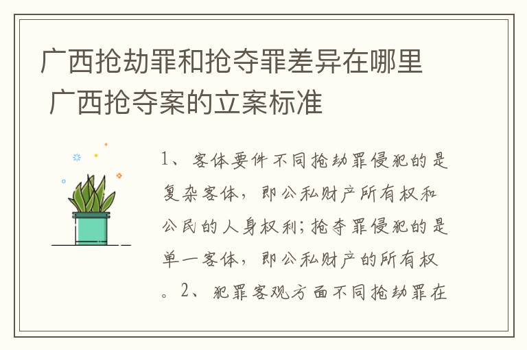 广西抢劫罪和抢夺罪差异在哪里 广西抢夺案的立案标准