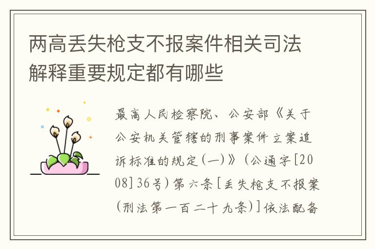 两高丢失枪支不报案件相关司法解释重要规定都有哪些