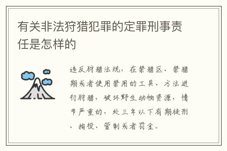 有关非法狩猎犯罪的定罪刑事责任是怎样的