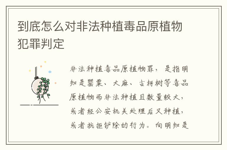 到底怎么对非法种植毒品原植物犯罪判定