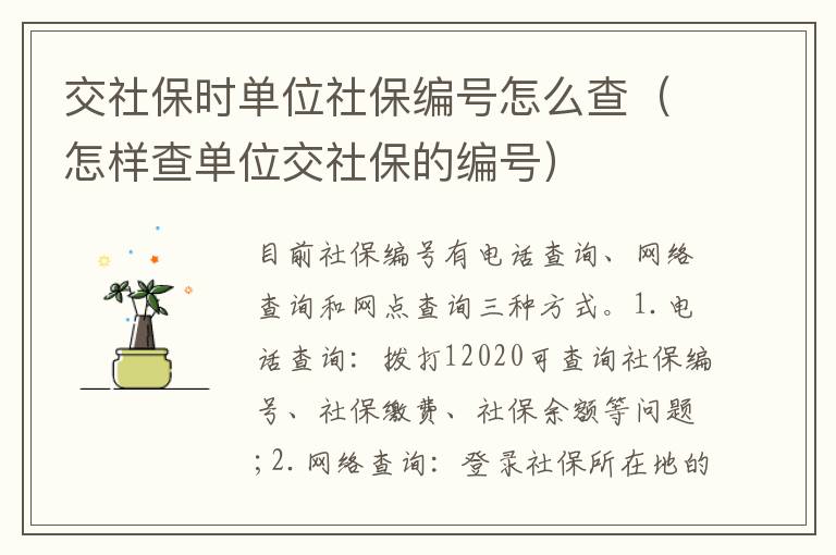 交社保时单位社保编号怎么查（怎样查单位交社保的编号）