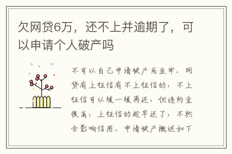 欠网贷6万，还不上并逾期了，可以申请个人破产吗