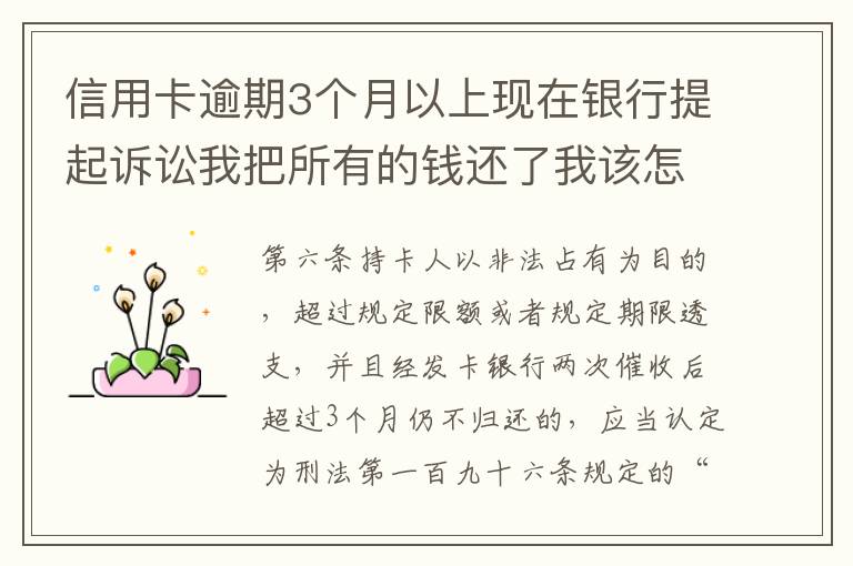 信用卡逾期3个月以上现在银行提起诉讼我把所有的钱还了我该怎样处处理