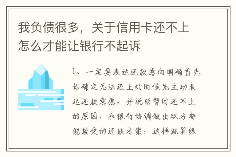 我负债很多，关于信用卡还不上怎么才能让银行不起诉