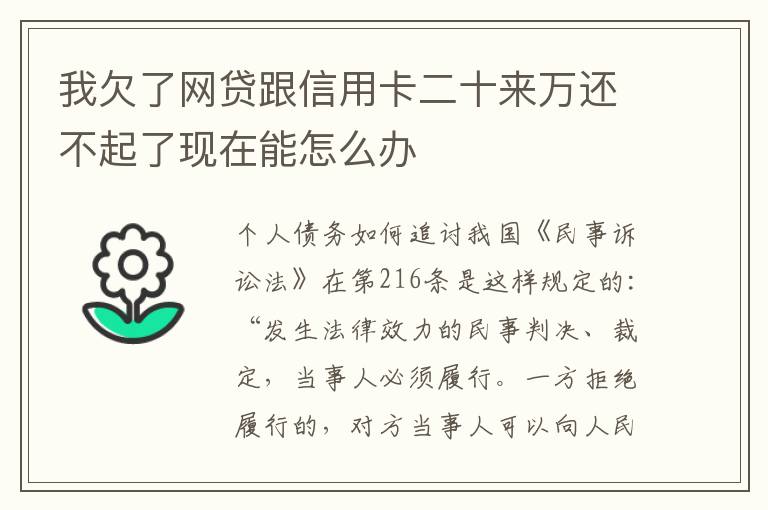 我欠了网贷跟信用卡二十来万还不起了现在能怎么办