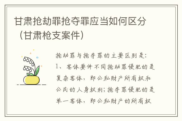 甘肃抢劫罪抢夺罪应当如何区分（甘肃枪支案件）