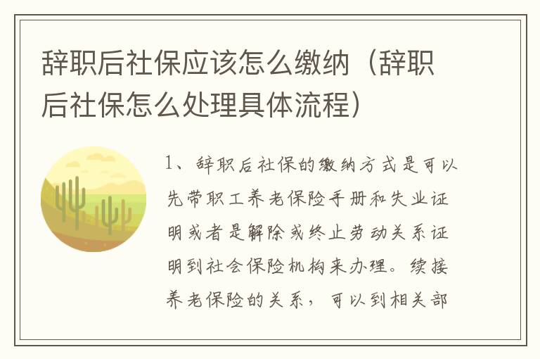 辞职后社保应该怎么缴纳（辞职后社保怎么处理具体流程）