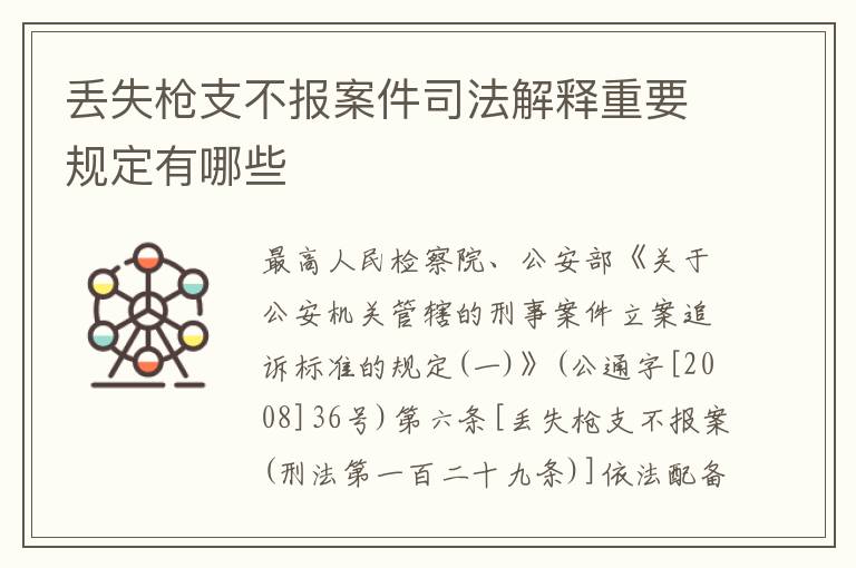 丢失枪支不报案件司法解释重要规定有哪些