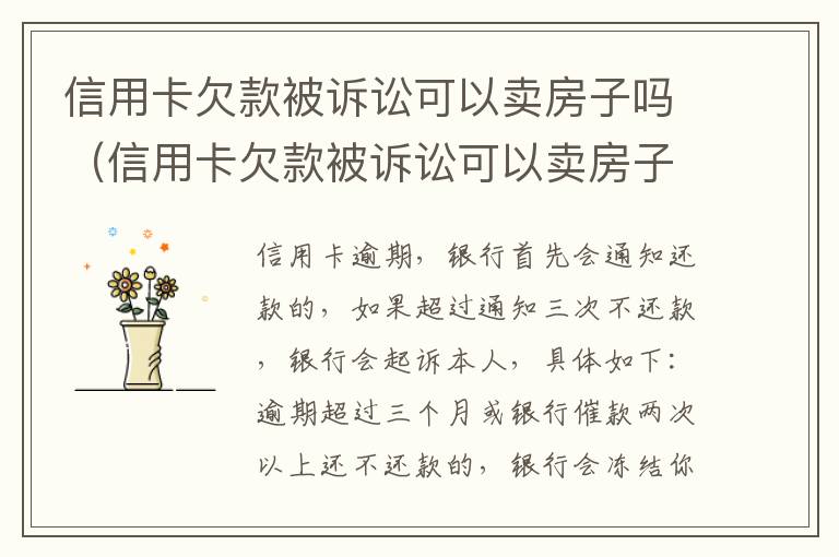 信用卡欠款被诉讼可以卖房子吗（信用卡欠款被诉讼可以卖房子吗知乎）