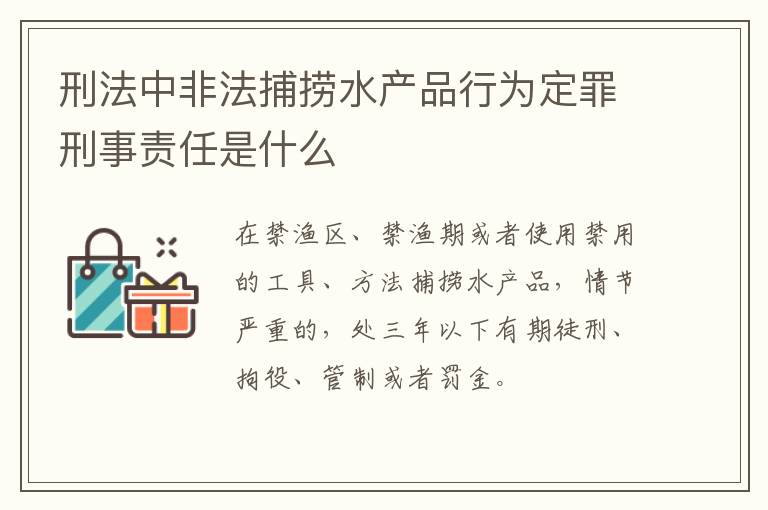 刑法中非法捕捞水产品行为定罪刑事责任是什么