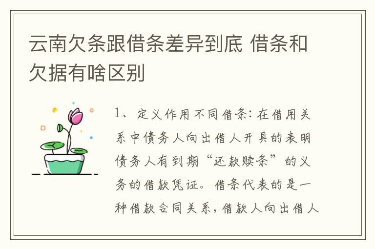 云南欠条跟借条差异到底 借条和欠据有啥区别