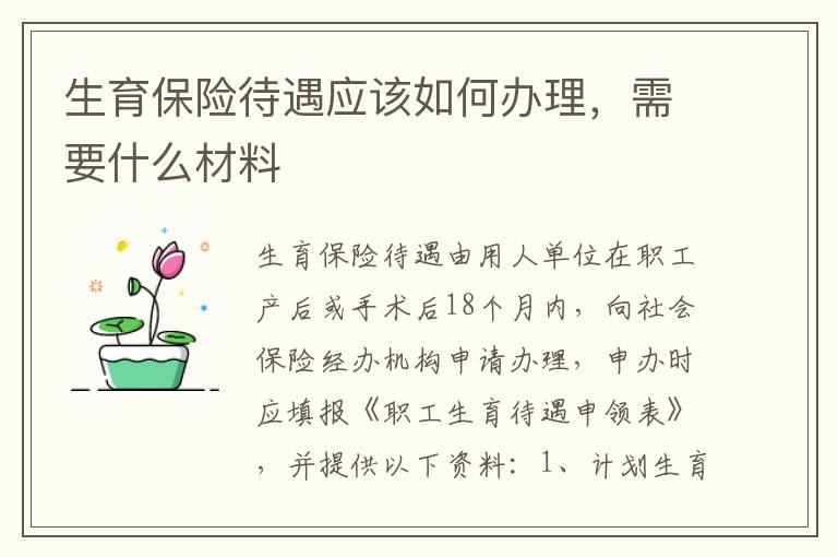 生育保险待遇应该如何办理，需要什么材料