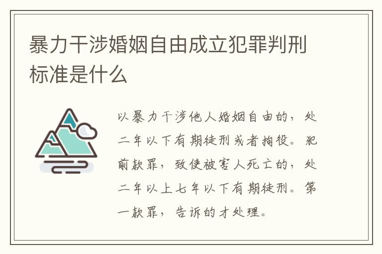 暴力干涉婚姻自由成立犯罪判刑标准是什么