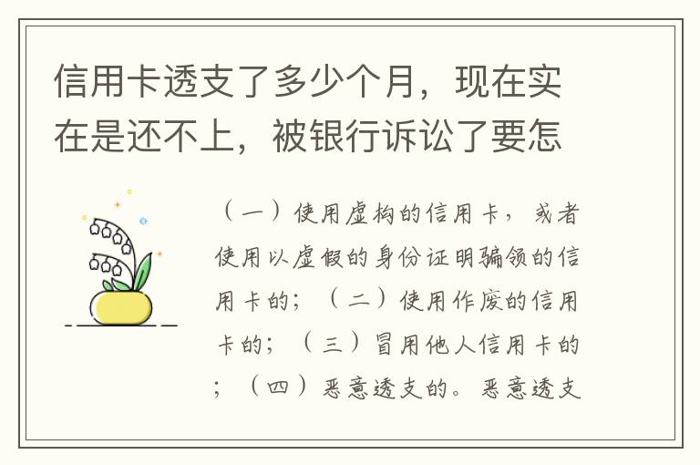 信用卡透支了多少个月，现在实在是还不上，被银行诉讼了要怎样办，谢谢