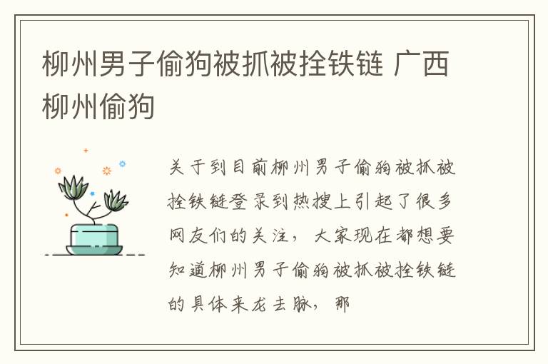 柳州男子偷狗被抓被拴铁链 广西柳州偷狗