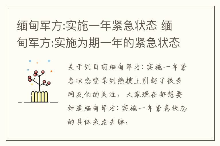 缅甸军方:实施一年紧急状态 缅甸军方:实施为期一年的紧急状态