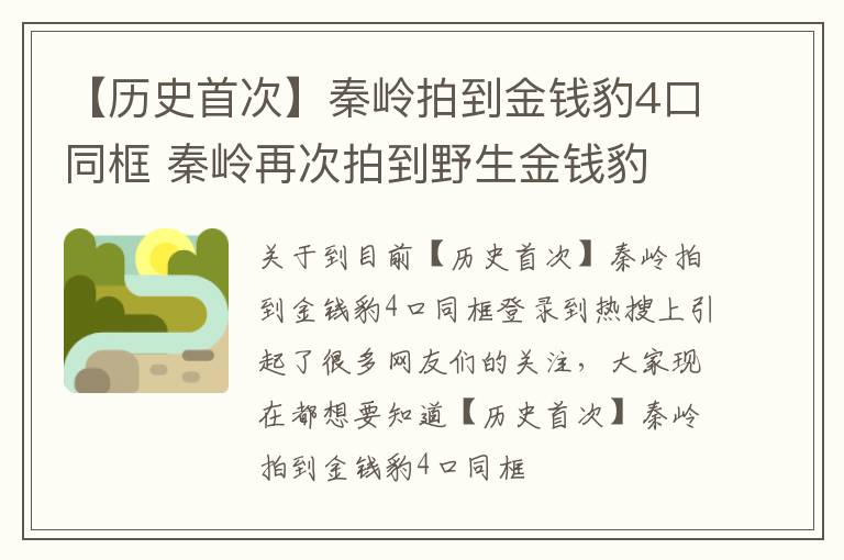 【历史首次】秦岭拍到金钱豹4口同框 秦岭再次拍到野生金钱豹