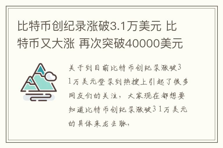 比特币创纪录涨破3.1万美元 比特币又大涨 再次突破40000美元