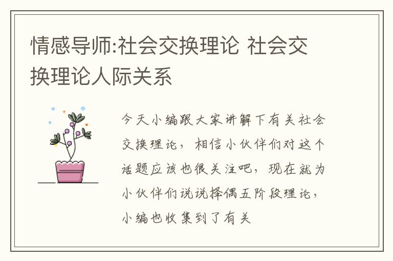 情感导师:社会交换理论 社会交换理论人际关系