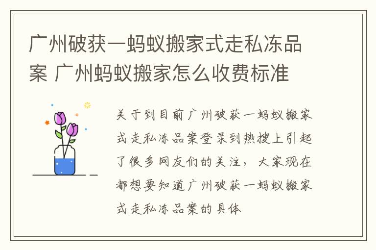 广州破获一蚂蚁搬家式走私冻品案 广州蚂蚁搬家怎么收费标准