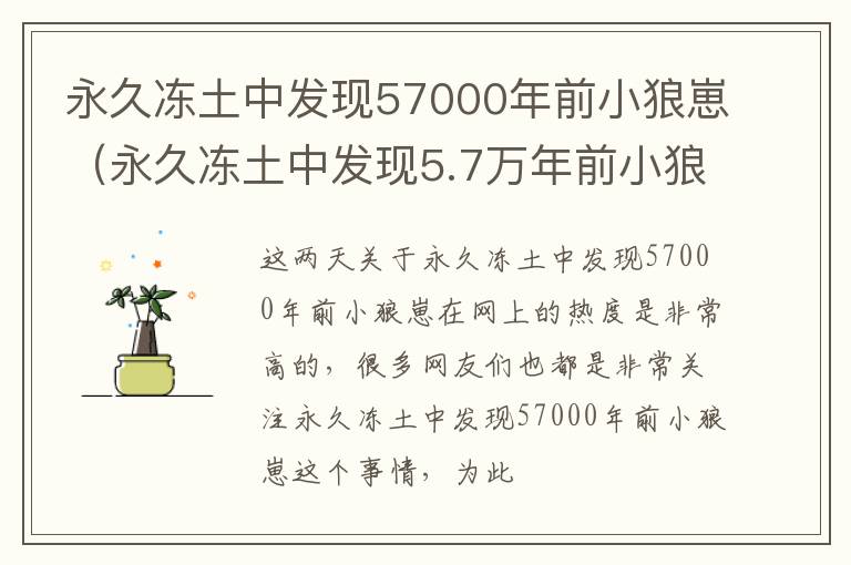 永久冻土中发现57000年前小狼崽（永久冻土中发现5.7万年前小狼崽）