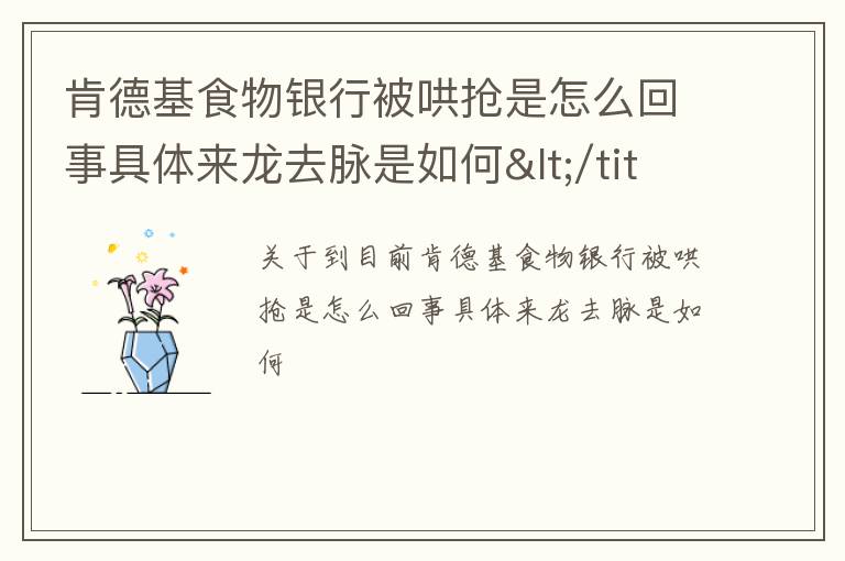 肯德基食物银行被哄抢是怎么回事具体来龙去脉是如何</title>
<meta