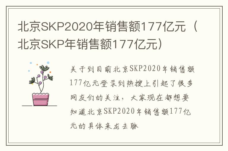 北京SKP2020年销售额177亿元（北京SKP年销售额177亿元）