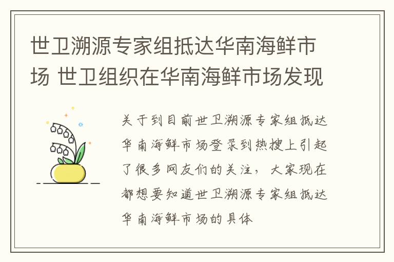 世卫溯源专家组抵达华南海鲜市场 世卫组织在华南海鲜市场发现重要线索