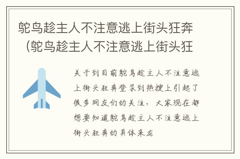 鸵鸟趁主人不注意逃上街头狂奔（鸵鸟趁主人不注意逃上街头狂奔的视频）