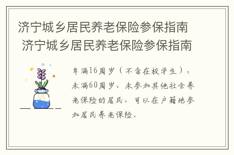 济宁城乡居民养老保险参保指南 济宁城乡居民养老保险参保指南查询