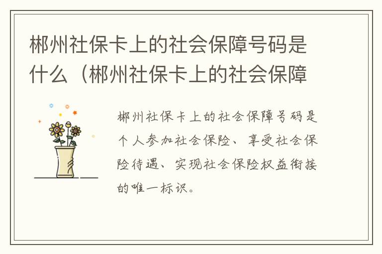 郴州社保卡上的社会保障号码是什么（郴州社保卡上的社会保障号码是什么意思）