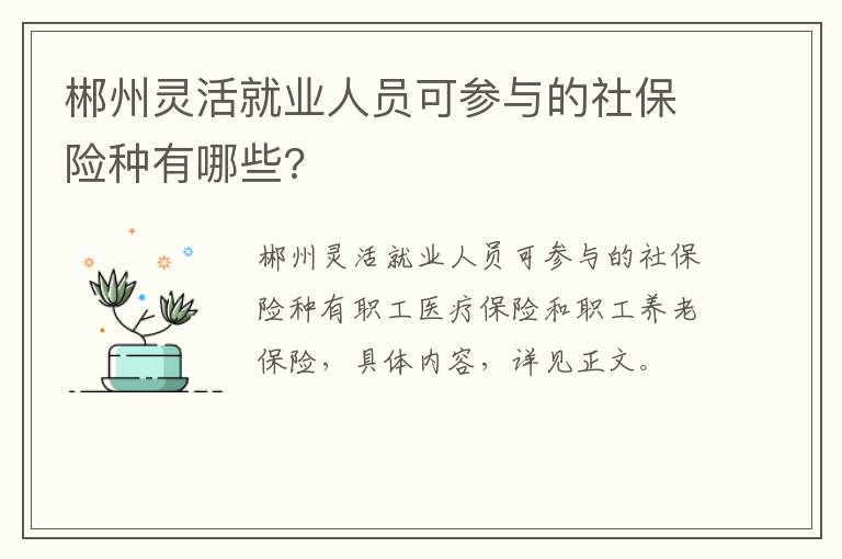 郴州灵活就业人员可参与的社保险种有哪些?