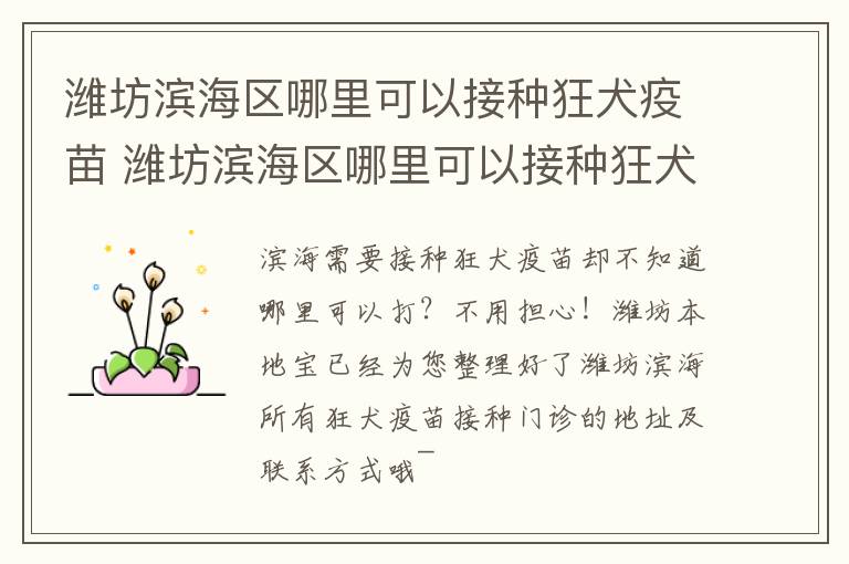 潍坊滨海区哪里可以接种狂犬疫苗 潍坊滨海区哪里可以接种狂犬疫苗针