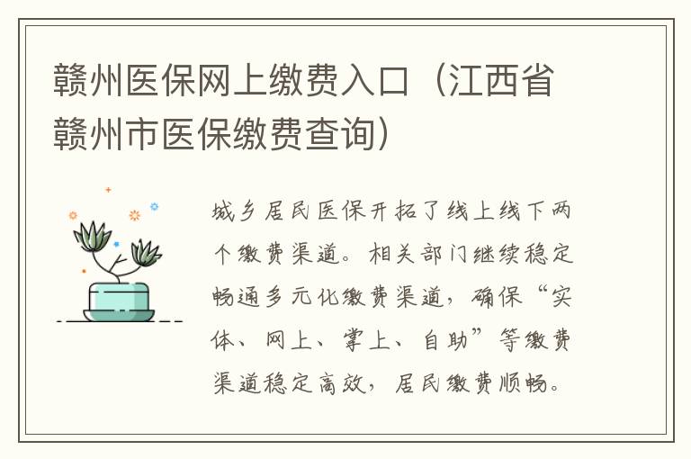 赣州医保网上缴费入口（江西省赣州市医保缴费查询）