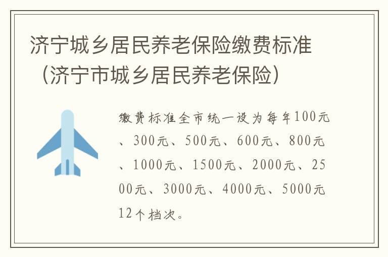 济宁城乡居民养老保险缴费标准（济宁市城乡居民养老保险）