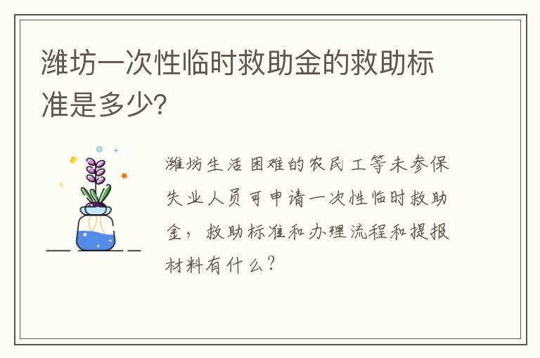 潍坊一次性临时救助金的救助标准是多少？