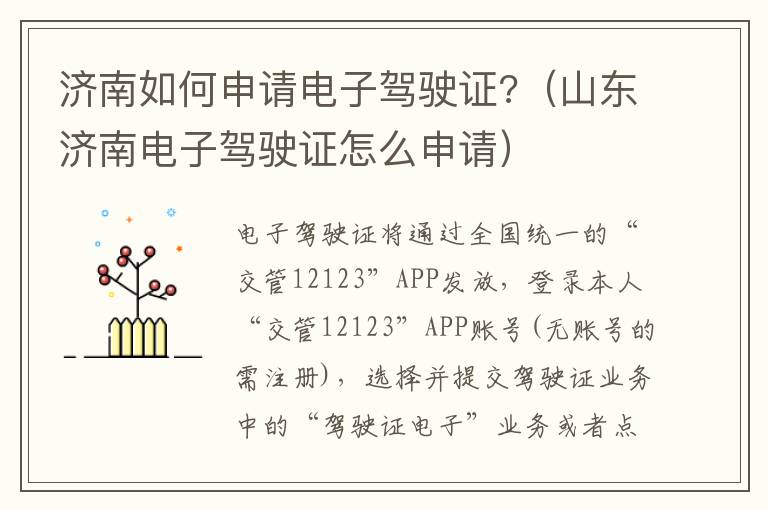 济南如何申请电子驾驶证?（山东济南电子驾驶证怎么申请）