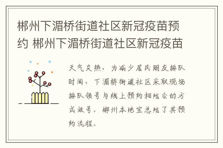 郴州下湄桥街道社区新冠疫苗预约 郴州下湄桥街道社区新冠疫苗预约公众号