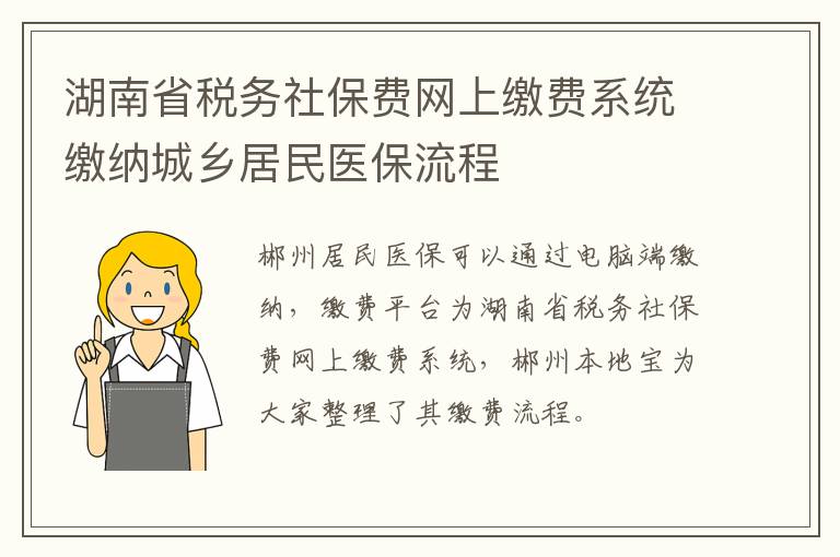 湖南省税务社保费网上缴费系统缴纳城乡居民医保流程