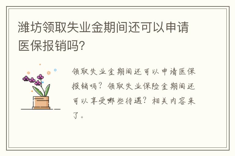 潍坊领取失业金期间还可以申请医保报销吗？