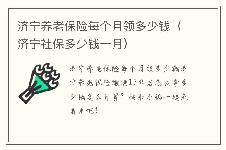 济宁养老保险每个月领多少钱（济宁社保多少钱一月）