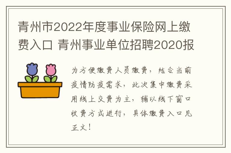 青州市2022年度事业保险网上缴费入口 青州事业单位招聘2020报名入口