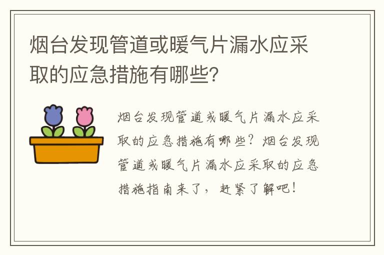 烟台发现管道或暖气片漏水应采取的应急措施有哪些？