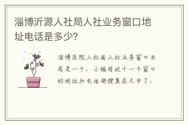 淄博沂源人社局人社业务窗口地址电话是多少？