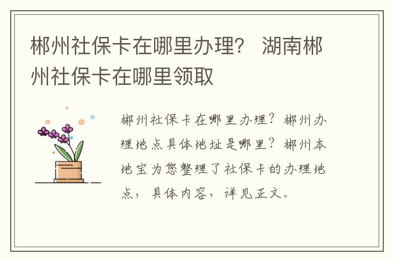 郴州社保卡在哪里办理？ 湖南郴州社保卡在哪里领取