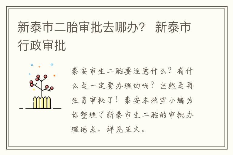 新泰市二胎审批去哪办？ 新泰市行政审批