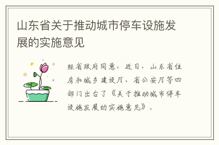 山东省关于推动城市停车设施发展的实施意见